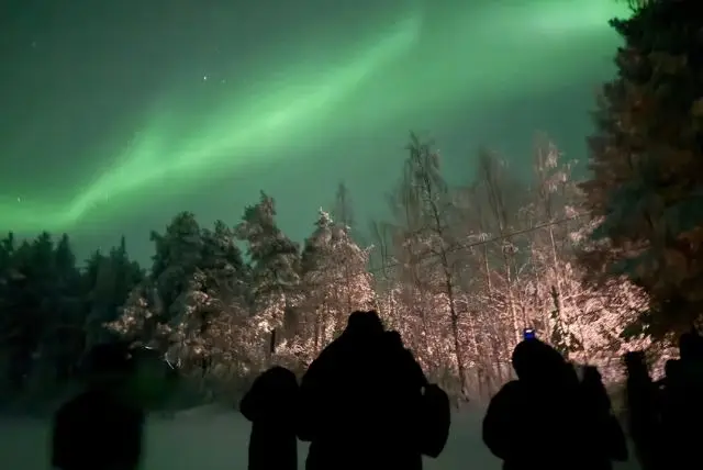 לפלנד בחורף - מה חשוב credit to getyourguide.com