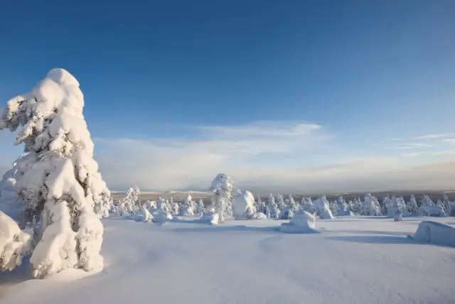 מתי הכי טוב לנסוע ללפלנד?