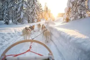 האם לפלנד יקרה?