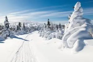 האם לפלנד בקוטב הצפוני?