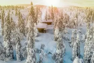 לפלנד טיול מאורגן או טיול עצמאי?