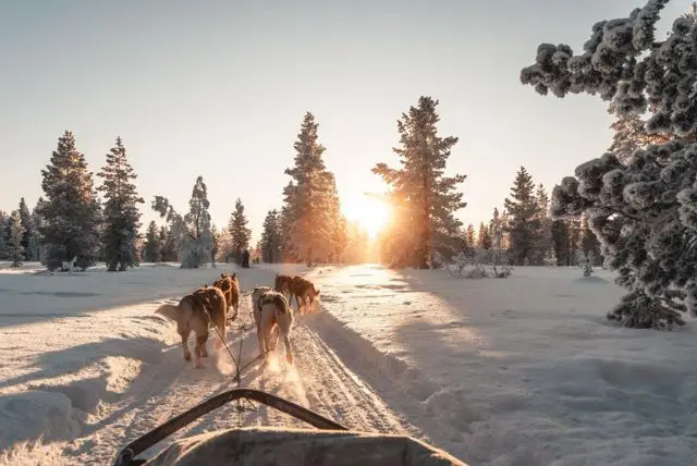 לפלנד - חבל ארץ על 4 מדינות: פינלנד, שוודיה, נורווגיה ורוסיה