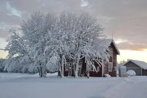 לפלנד מתי מומלץ לטוס - מתי העונה לנסוע לטיול בלפלנד?