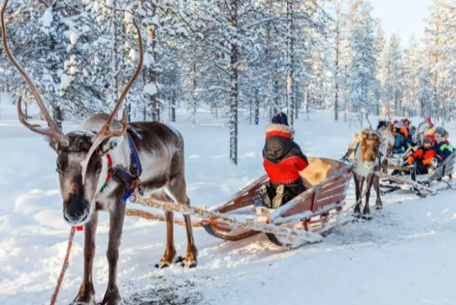 טיול צילום לפלנד - תכנון מסלול טיול לצלמים מתחילים ומנוסים