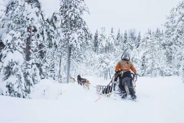 למה הכפר של סנטה קלאוס (Santa Claus Village) הוקם דווקא ברובניימי בלפלנד? credit to getyourguide.com