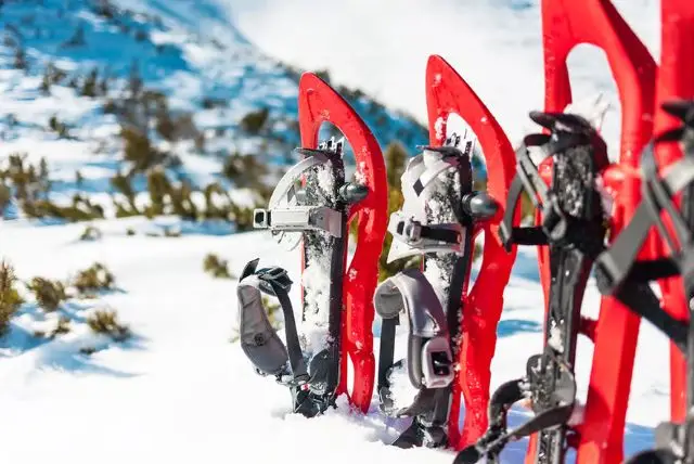 טיול מודרך עם נעלי שלג באיזור רובניימי בלפלנד credit to getyourguide.com