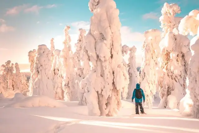 טיול מודרך עם נעלי שלג באיזור רובניימי בלפלנד credit to getyourguide.com