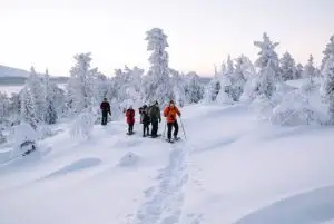טיול מודרך עם נעלי שלג באיזור רובניימי בלפלנד credit to getyourguide.com