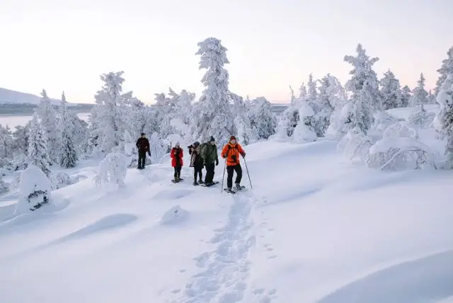 טיול מודרך עם נעלי שלג באיזור רובניימי בלפלנד credit to getyourguide.com