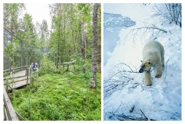 איך להגיע לגן חיות ראנואה? מדריך מלא להסעות מאורגנות + כרטיסים משולבים credit to getyourguide.com