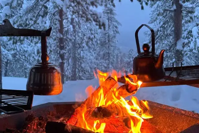 היער המיסטי של לפלנד (Mystical Lapland Forest) credit to getyourguide.com