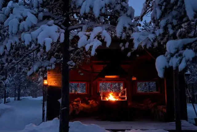 היער המיסטי של לפלנד (Mystical Lapland Forest) credit to getyourguide.com