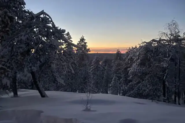 היער המיסטי של לפלנד (Mystical Lapland Forest) credit to getyourguide.com