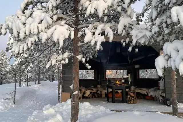 היער המיסטי של לפלנד (Mystical Lapland Forest) credit to getyourguide.com