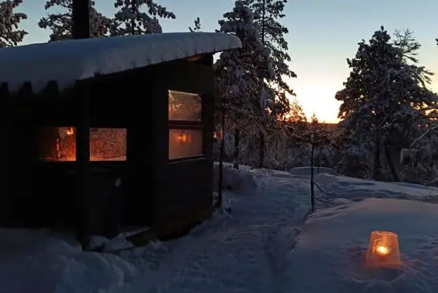 היער המיסטי של לפלנד (Mystical Lapland Forest) credit to getyourguide.com