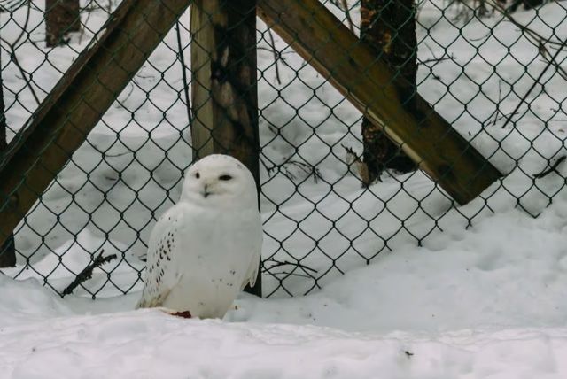 האם אפשר לשלב את ראנואה עם אטרקציות נוספות באותו יום באיזור ראנואה? credit to getyourguide.com