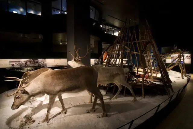 ארקטיקום - מוזיאון המדע ברובניימי, פינלנד (Arktikum Science Centre) credit to getyourguide.com