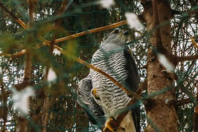 האם אפשר לשלב את ראנואה עם אטרקציות נוספות באותו יום באיזור ראנואה? credit to getyourguide.com