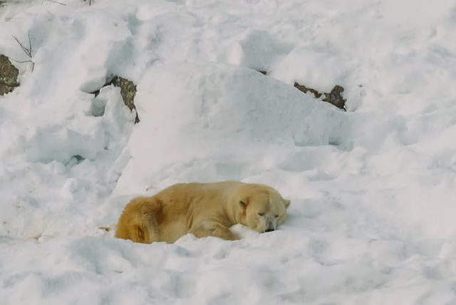 האם אפשר לשלב את ראנואה עם אטרקציות נוספות באותו יום באיזור ראנואה? credit to getyourguide.com