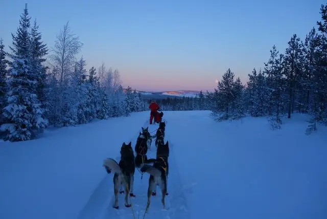 איך להתמודד עם הקור בלפלנד?