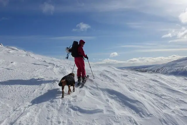 איך להתמודד עם הקור בלפלנד?
