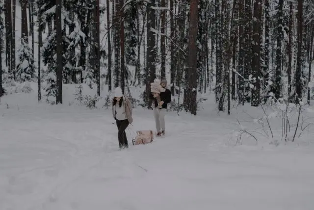 לפלנד עונה מומלצת בהתאם לאירועים, תאריכים חשובים, אטרקציות וכמובן מזג אוויר