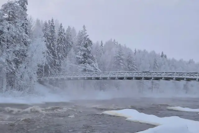 החוג הארקטי (Arctic Circle) מה חשוב לדעת ואיך זה משפיע על לפלנד credit to getyourguide.com