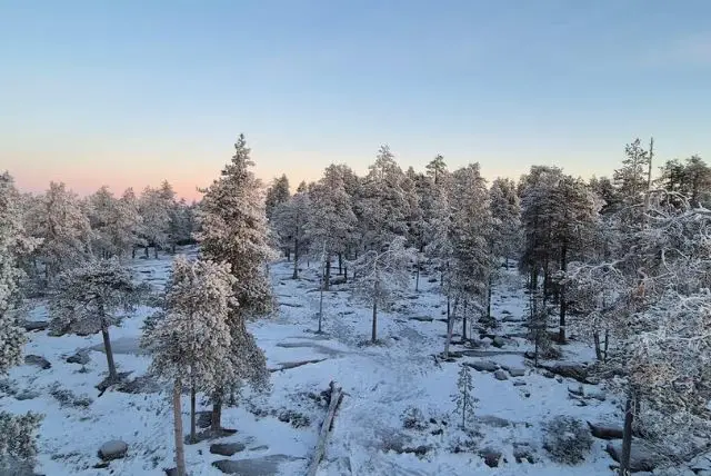 החוג הארקטי (Arctic Circle) מה חשוב לדעת ואיך זה משפיע על לפלנד credit to getyourguide.com