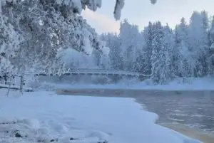 החוג הארקטי (Arctic Circle) מה חשוב לדעת ואיך זה משפיע על לפלנד credit to getyourguide.com
