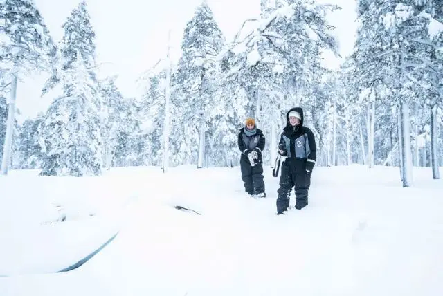 היער והטבע הנורדי בלפלנד credit to getyourguide.com