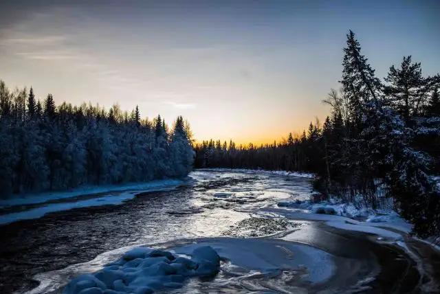 היער והטבע הנורדי בלפלנד credit to getyourguide.com