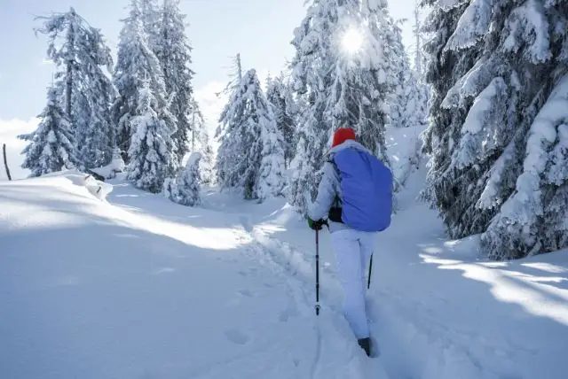 אטרקציות חורף בלפלנד - הפעילויות הכי שוות