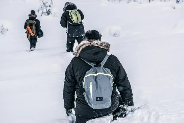 אטרקציות חורף בלפלנד - הפעילויות הכי שוות