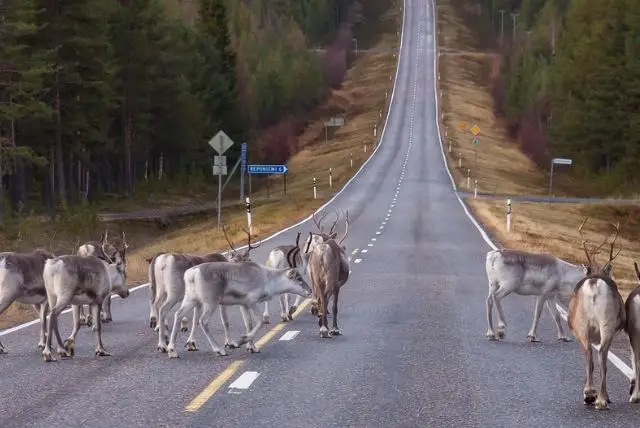 היעדים, הפעילויות והדברים שאסור לפספס וחובה לביקור ראשון בלפלנד