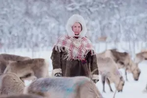 לפלנד לבני הגיל השלישי - טיפים והמלצות לתכנון חופשה ללא הרבה הליכה