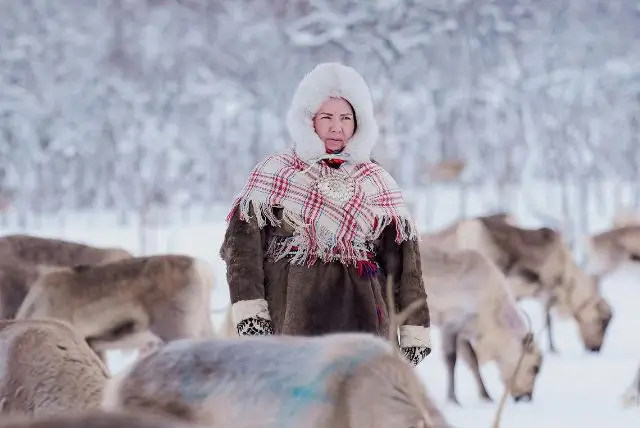 לפלנד לבני הגיל השלישי - טיפים והמלצות לתכנון חופשה ללא הרבה הליכה