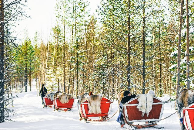 לפלנד שעות אור