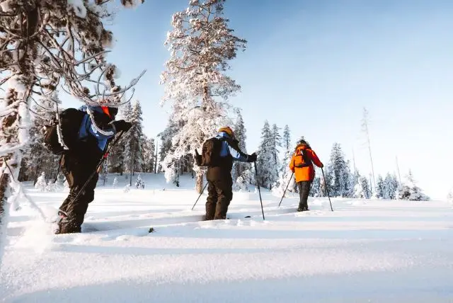 טיולי הליכה בשלג - סקי טרק ספארי credit to getyourguide.com