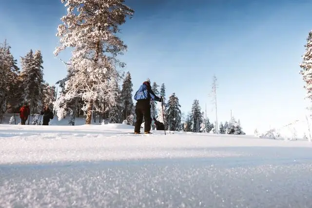 טיולי הליכה בשלג - סקי טרק ספארי credit to getyourguide.com