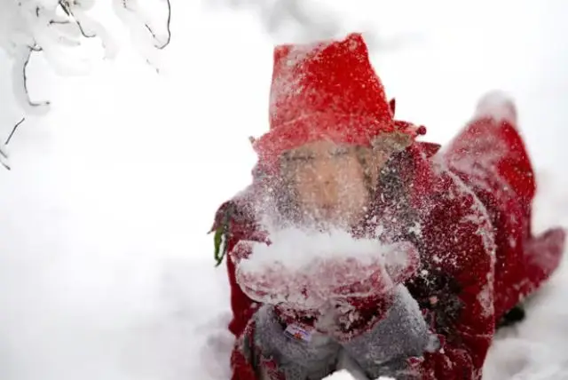 מרכז אימוני האלפים ברובניימי - Elf Training Center credit to getyourguide.com