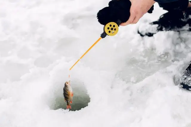 טיול דיג בספארי אופנועי שלג באיזור קמי - לדוג דג באמצע הקרח