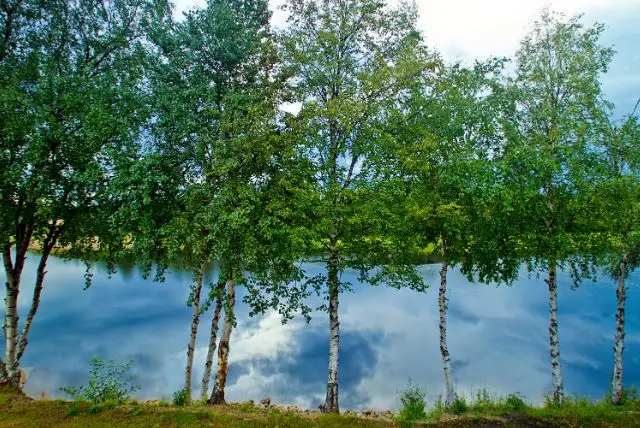 איבלו (Ivalo) - החלק הצפוני של לפלנד הפינית