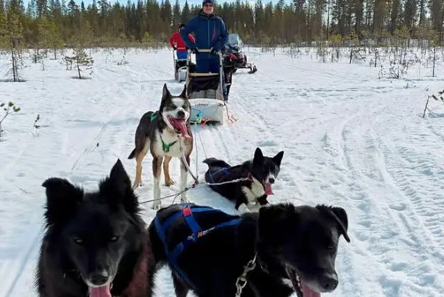 ספארי שלג לפלנד credit to getyourguide.com