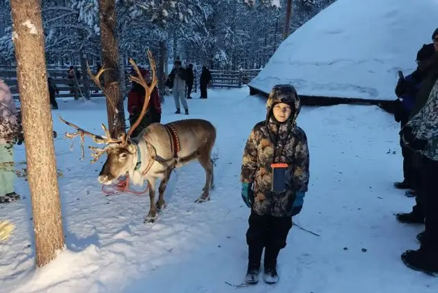 גן חיות ראנואה בלפלנד כרטיסים (Ranua Zoo) credit to getyourguide.com