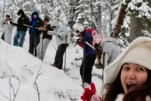 מפלי קורוומה הקפואים בלפלנד (Frozen Waterfalls of Korouoma Canyon) credit to getyourguide.com