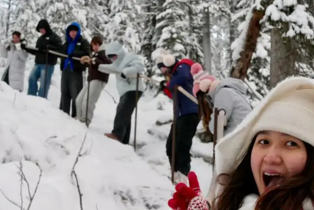 מפלי קורוומה הקפואים בלפלנד (Frozen Waterfalls of Korouoma Canyon) credit to getyourguide.com
