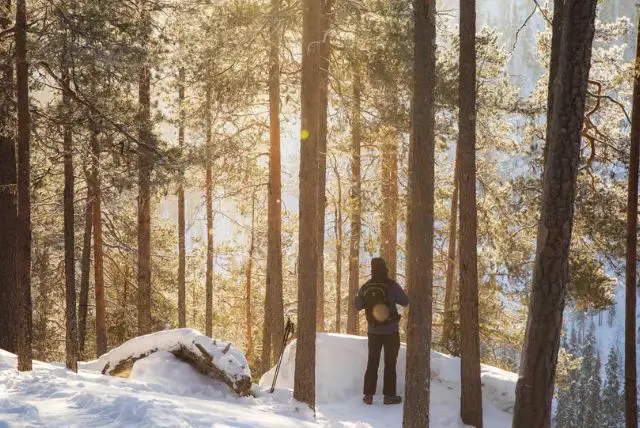 מפלי קורוומה הקפואים בלפלנד (Frozen Waterfalls of Korouoma Canyon) credit to getyourguide.com