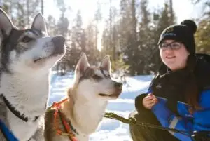 ביקור בכלבייה של כלבי האסקי בלפלנד ברובניימי credit to getyourguide.com