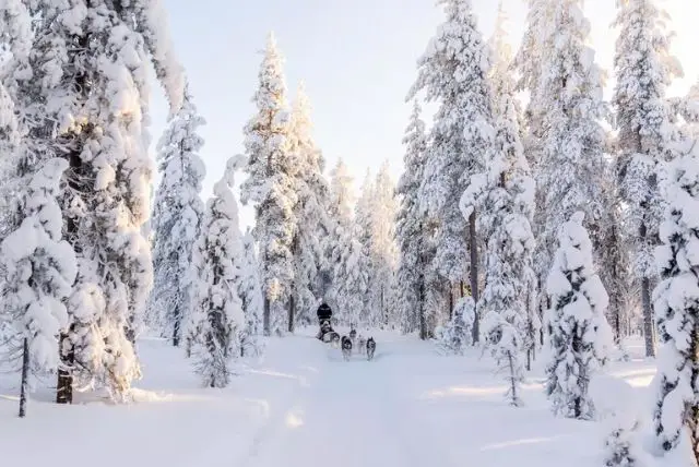 נסיעה במזחלת כלבי האסקי באיזור רובניימי בלפלנד credit to getyourguide.com