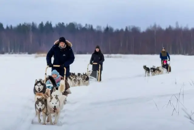 נסיעה במזחלת כלבי האסקי באיזור רובניימי בלפלנד credit to getyourguide.com